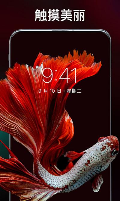 主题刘海壁纸手机软件app下载,主题刘海壁纸,壁纸app,美化app