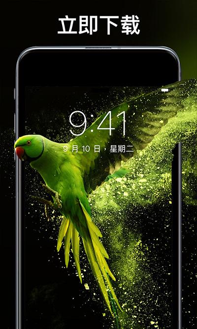 主题刘海壁纸手机软件app下载,主题刘海壁纸,壁纸app,美化app