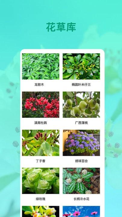 识花app下载,识花,植物app