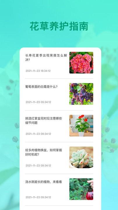 识花app下载,识花,植物app