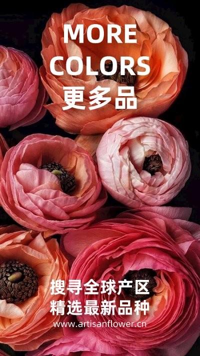 匠人花材客户端下载,匠人花材,鲜花app,买花app