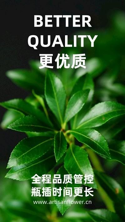 匠人花材客户端下载,匠人花材,鲜花app,买花app