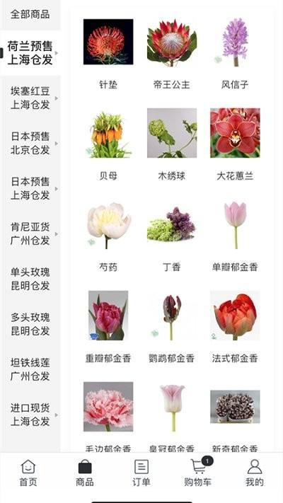 匠人花材客户端下载,匠人花材,鲜花app,买花app