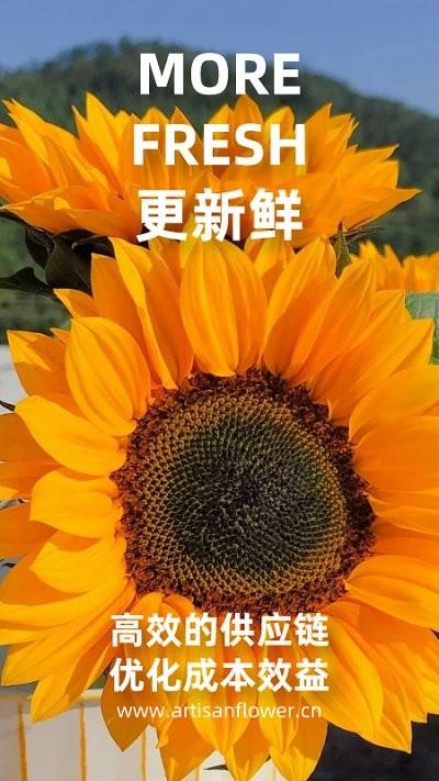 匠人花材客户端下载,匠人花材,鲜花app,买花app