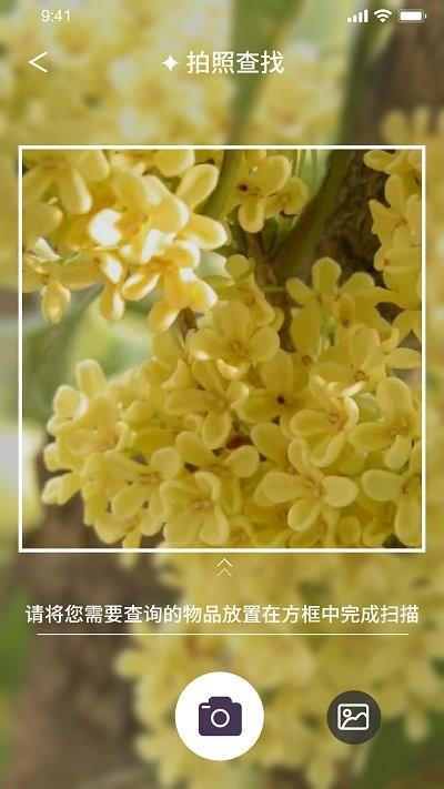 我的开心花园app下载,我的开心花园,花草app